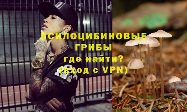 соль курить ск Верхний Тагил
