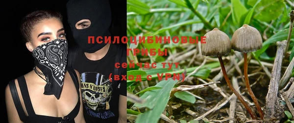 каннабис Верея