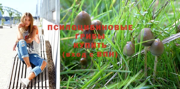 каннабис Верея