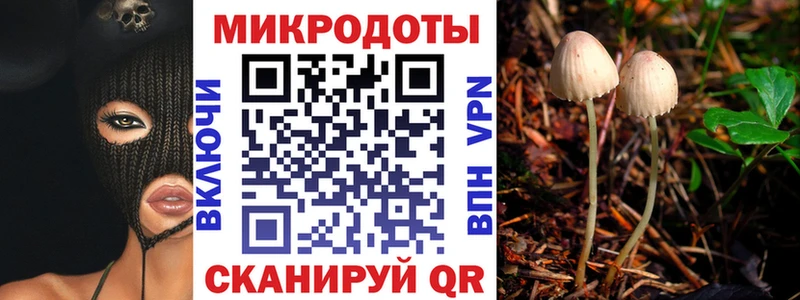 Псилоцибиновые грибы ЛСД  Купить  Касимов 